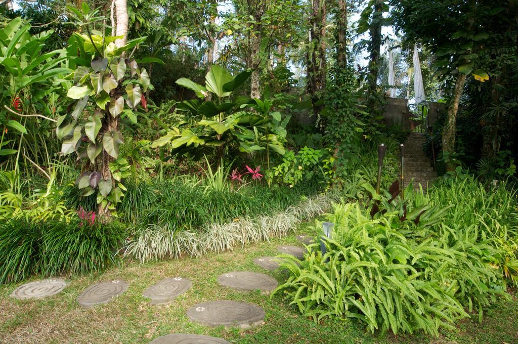 Villa Umah Shanti Ubud