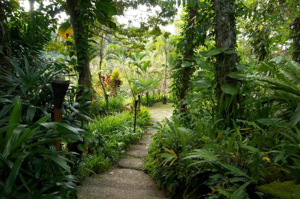 Umah Shanti Villa Ubud