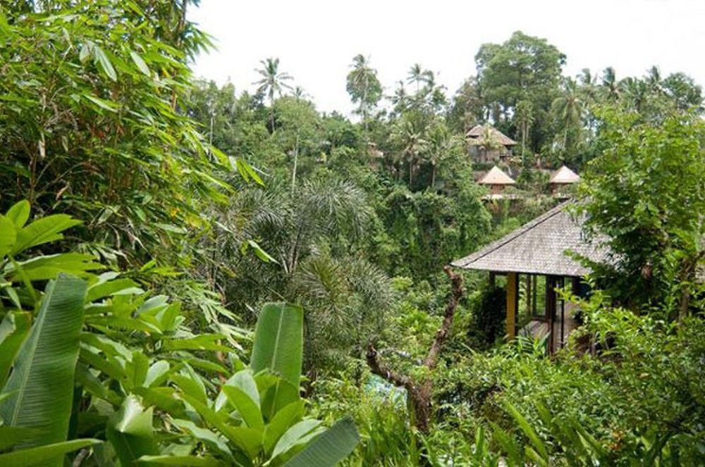 Umah Shanti Villa Ubud